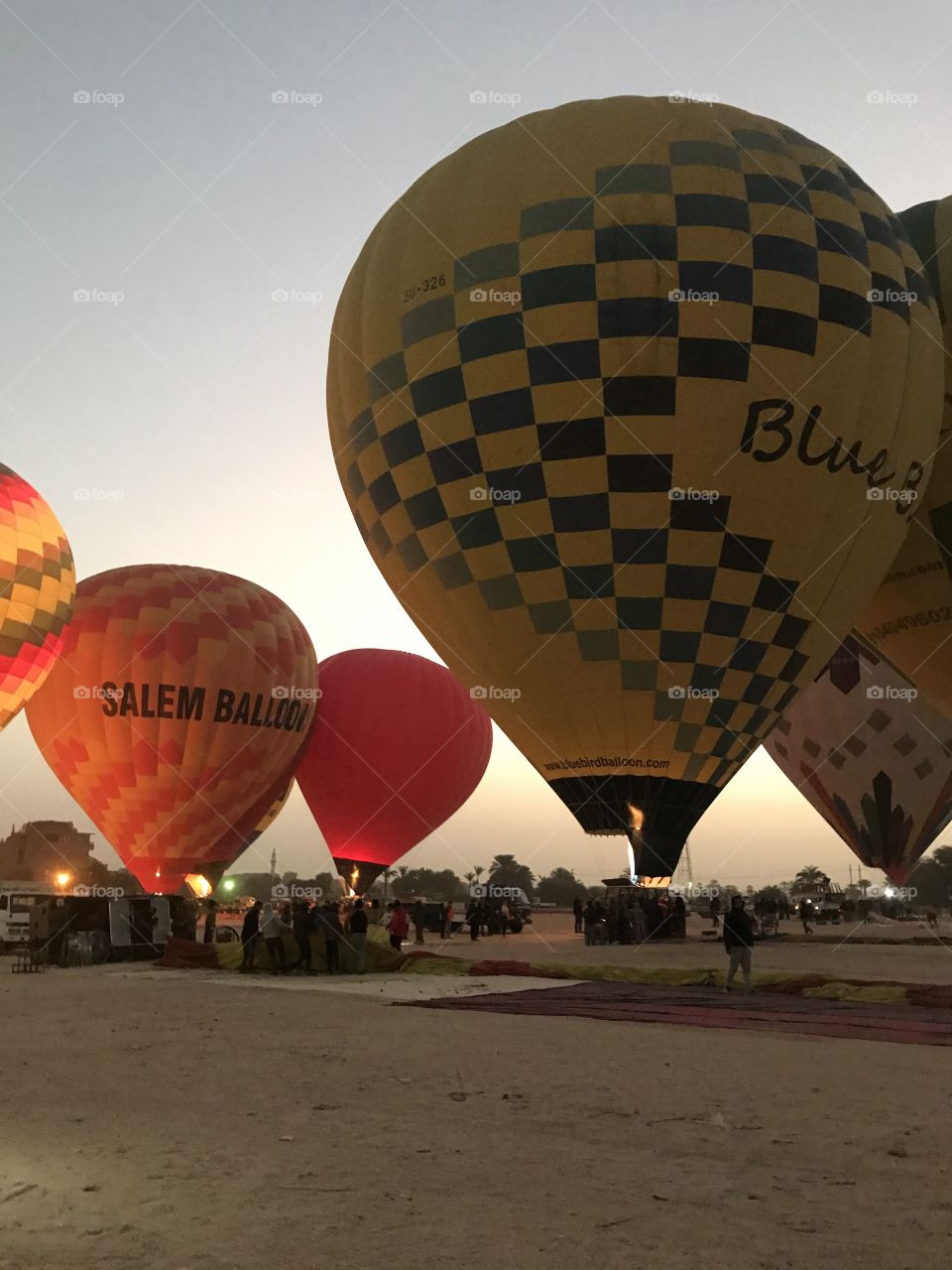 Balloons about to take off at sunrise