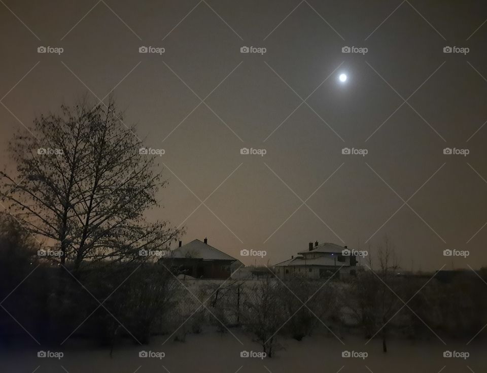 full moon winter night in a garden after snow storm