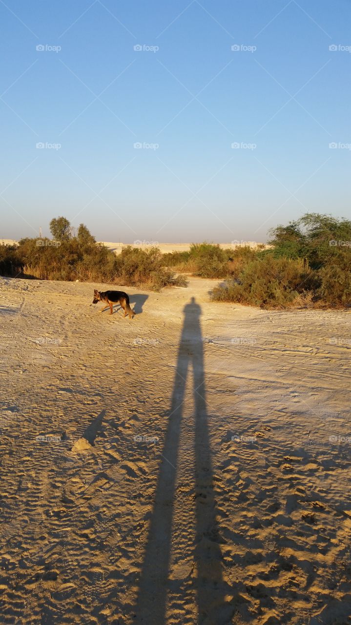 A man and his dog. Walking the dog in the desert