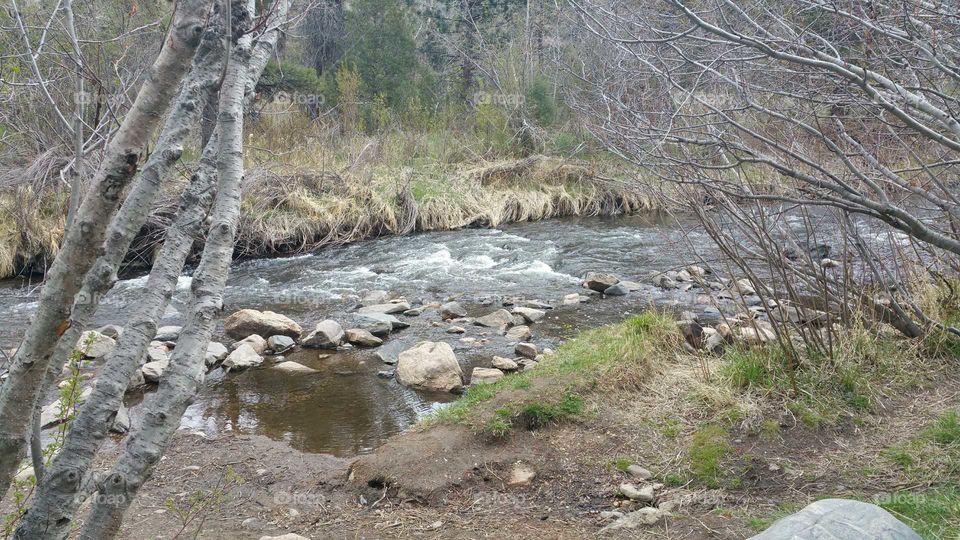 Bear Creek in Lair of the Bear Park