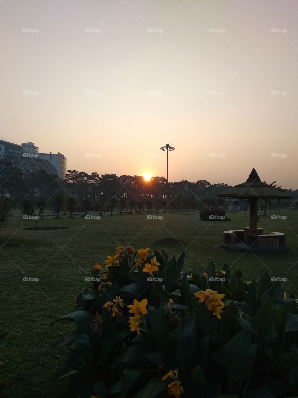 sunrise colorful and morning time in the garden