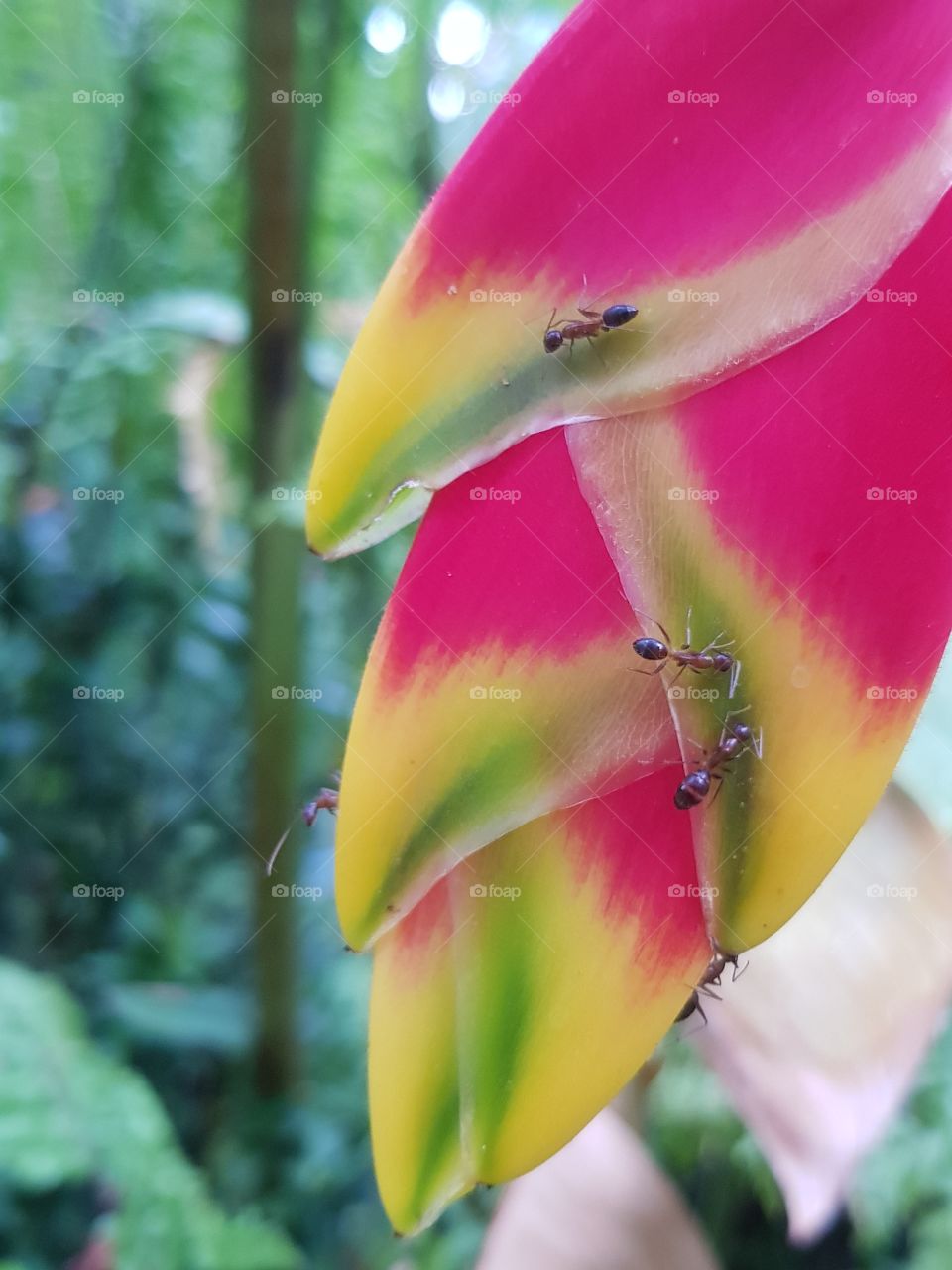 Watching nature can open the door to a perfect life