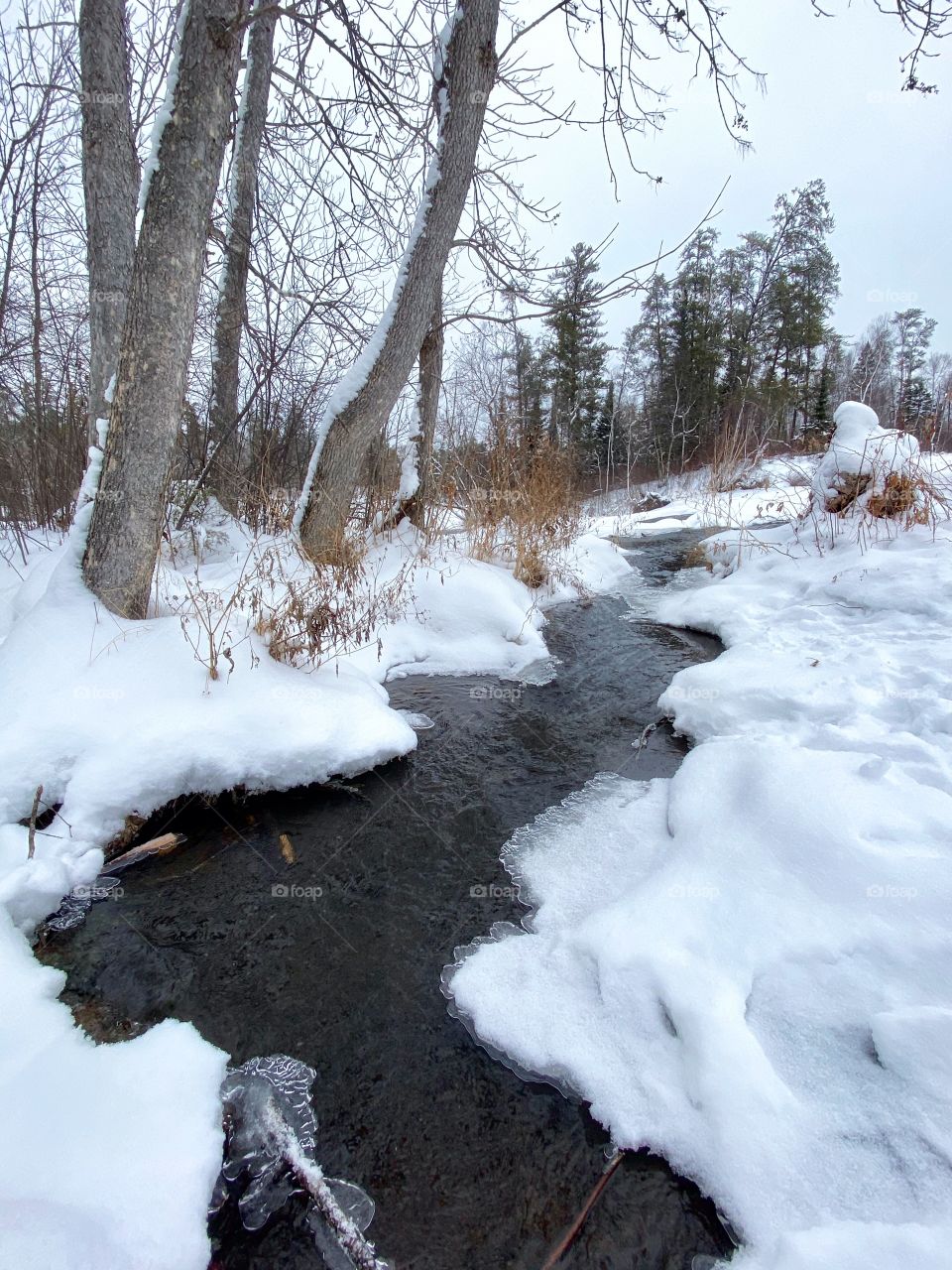 Peaceful winter stream 