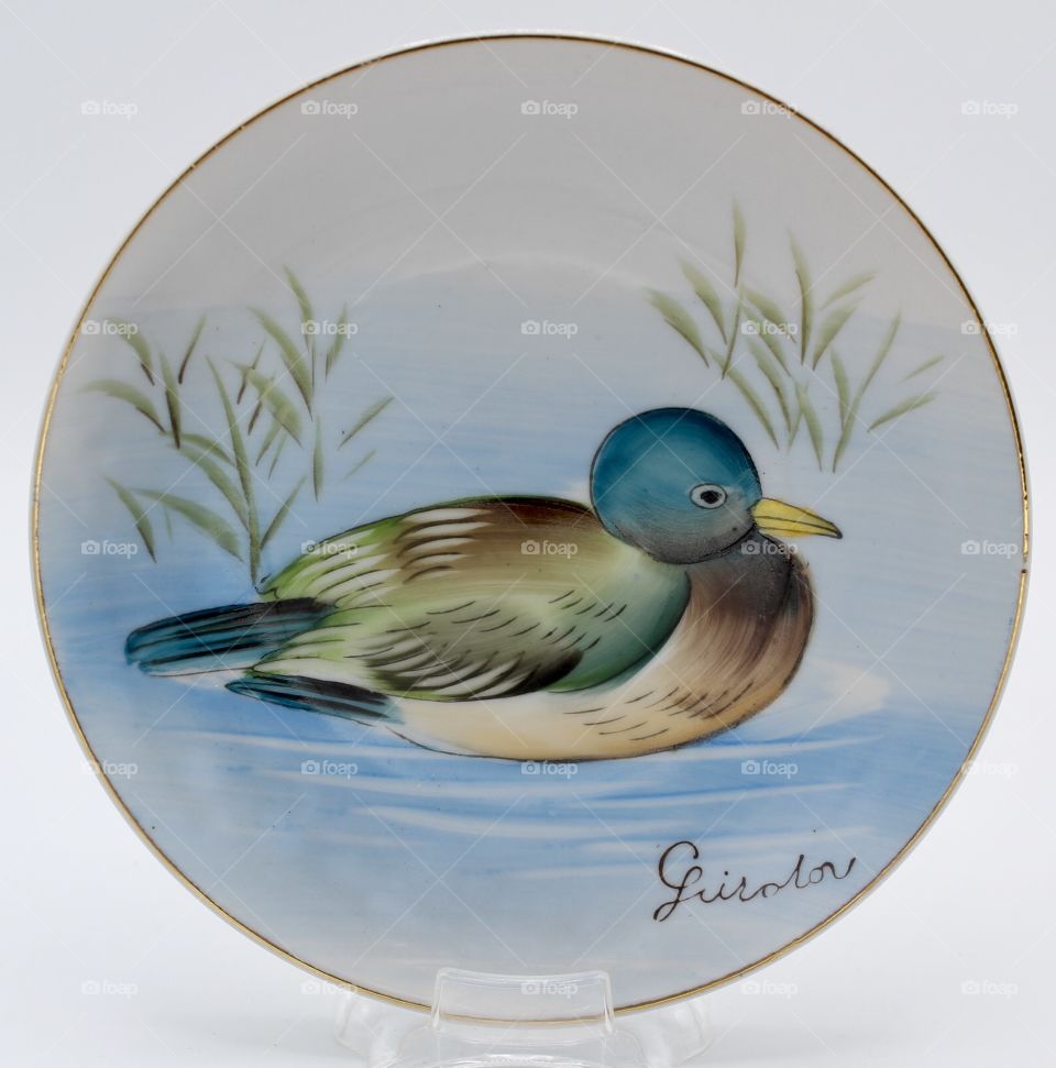 Hand painted duck plate