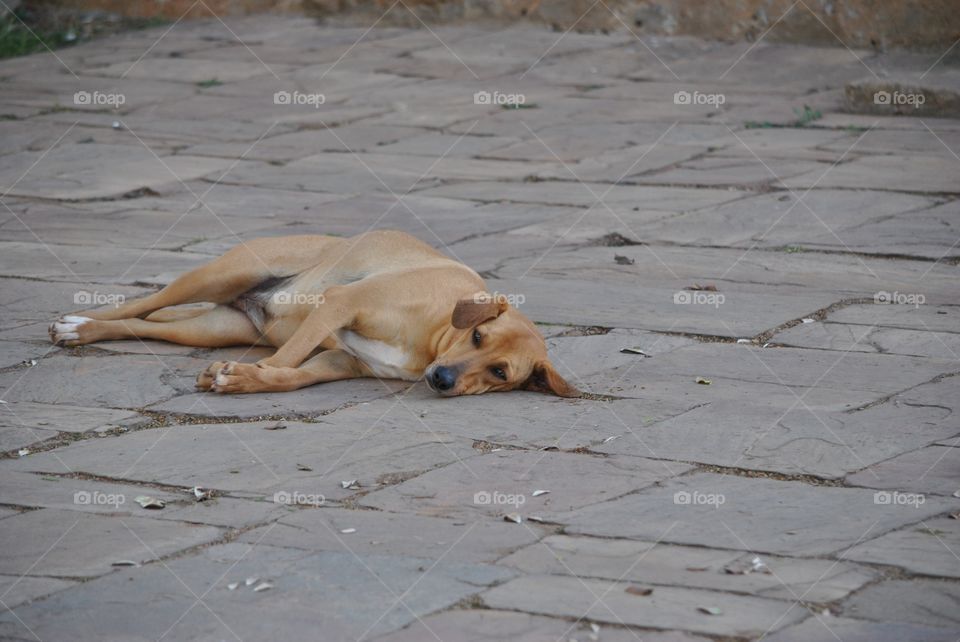 time for an overnight