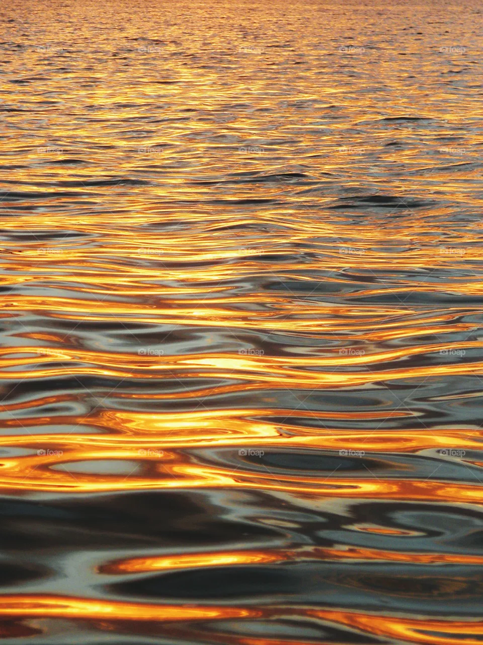ripples w