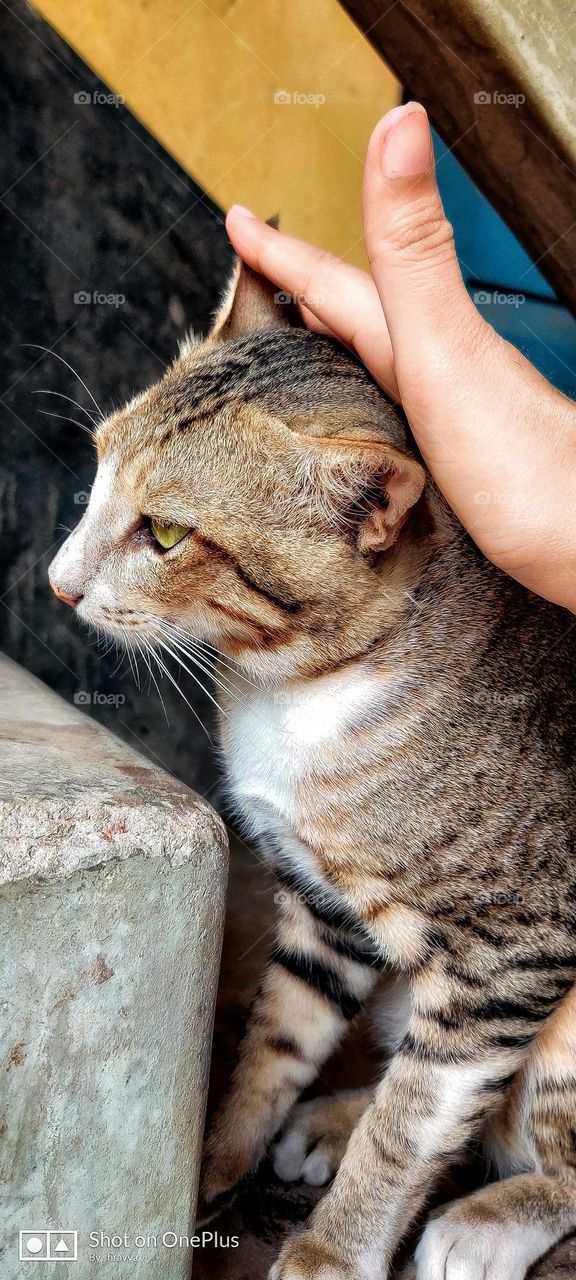 ready for a massage 🤪