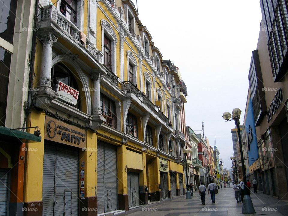 Pedestrian Zone . Buenos Aires 