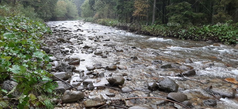 strem in the mountains