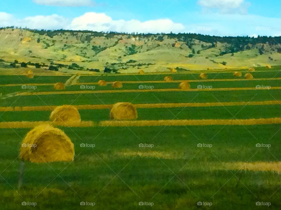 Beautiful landscape with rows of round hay bales in green grass and hills in the distance 