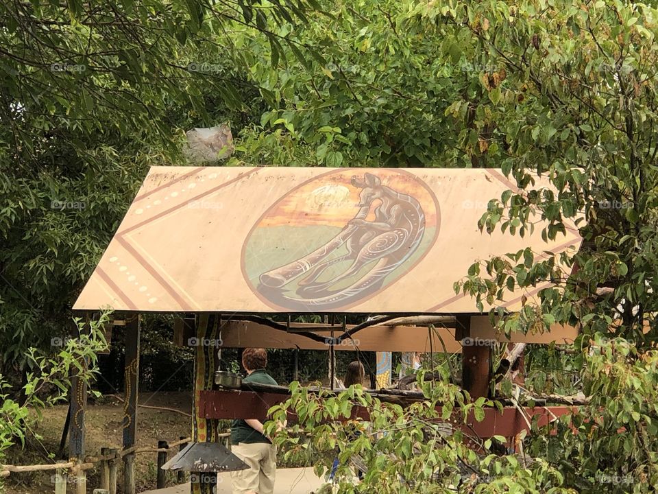 Painting of Kangaroo Playing a Didgeridoo on Roof