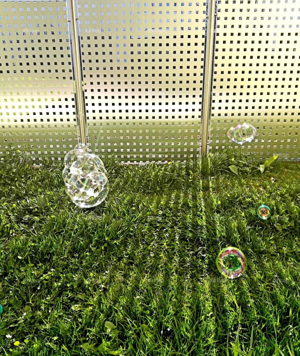 bubbles playing with light