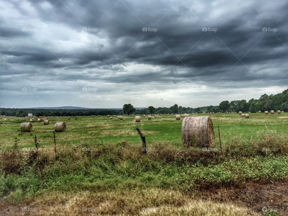 Hay and storms 