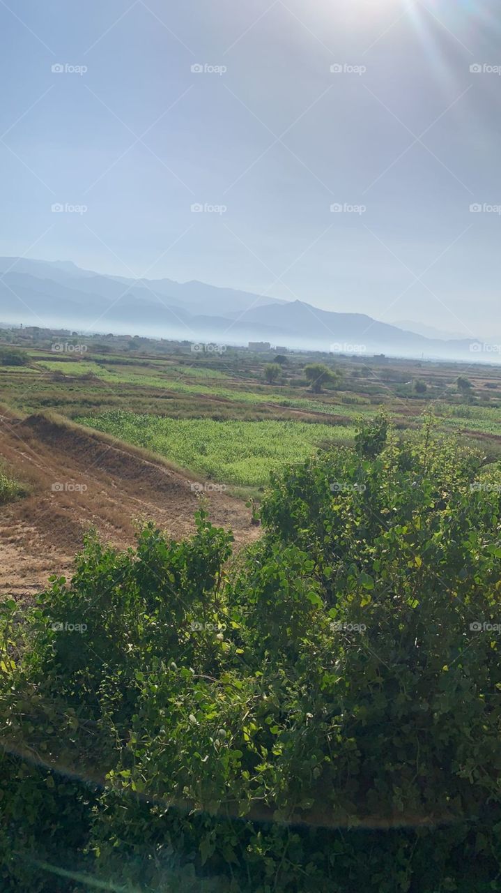 I need your support guys I'm very, very poor