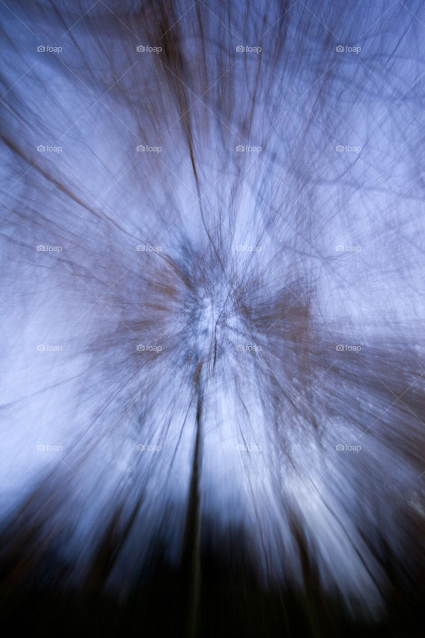 motion tree abstract blur by perfexeon