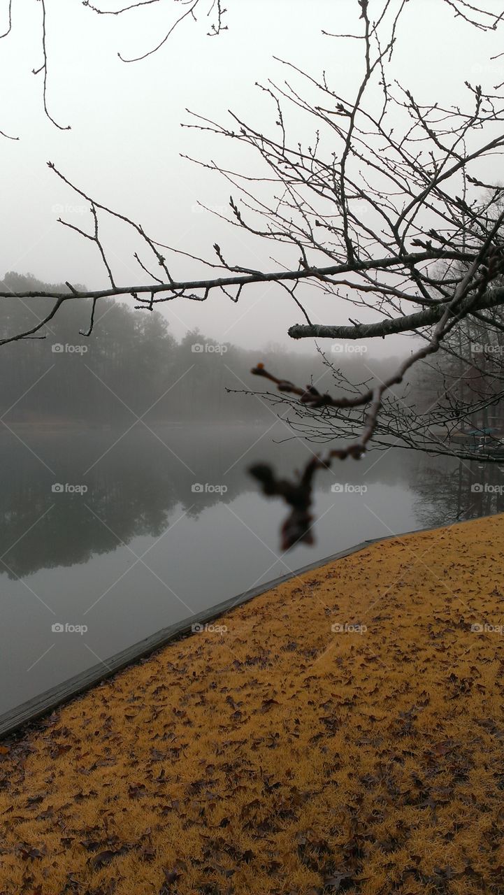 foggy lake