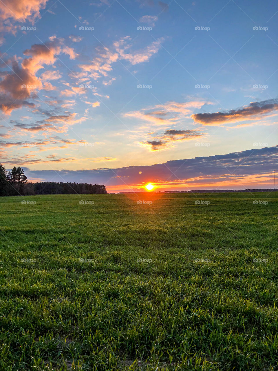 Последние дни лета…💫