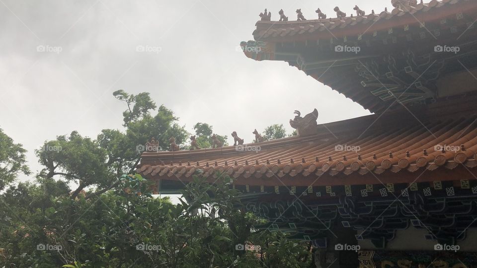 Po Lin Monastery Pagoda Roof. Symbolizing all living things, animals, people and Ancient Life at Peace with one Another, Co-Existing in Harmony. Lantau Island, Ngong Ping Village, Hong Kong