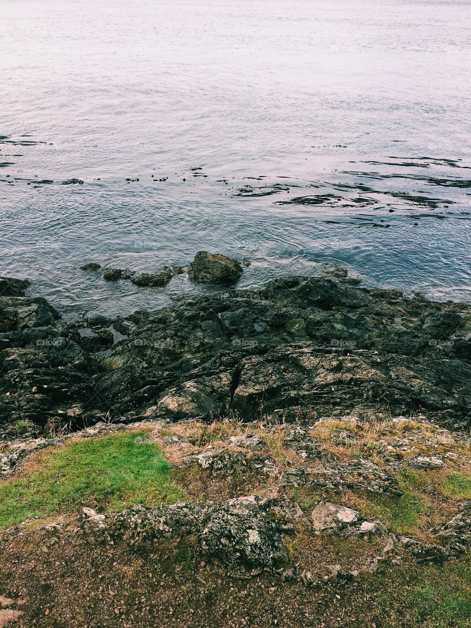 Rocky coast in pnw with green grass, cloudy summer day 