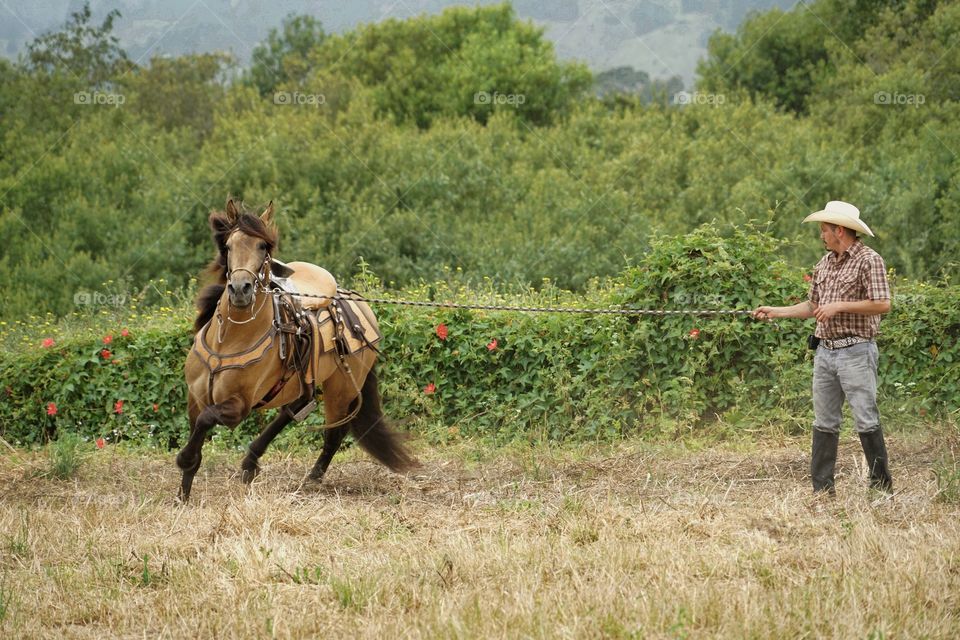 Cowboy Training A Horse