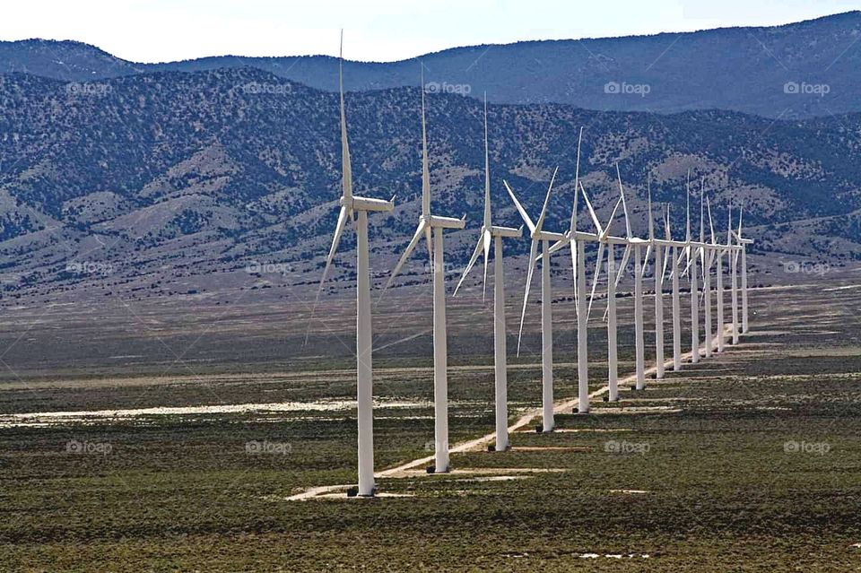 Wind turbines in a row