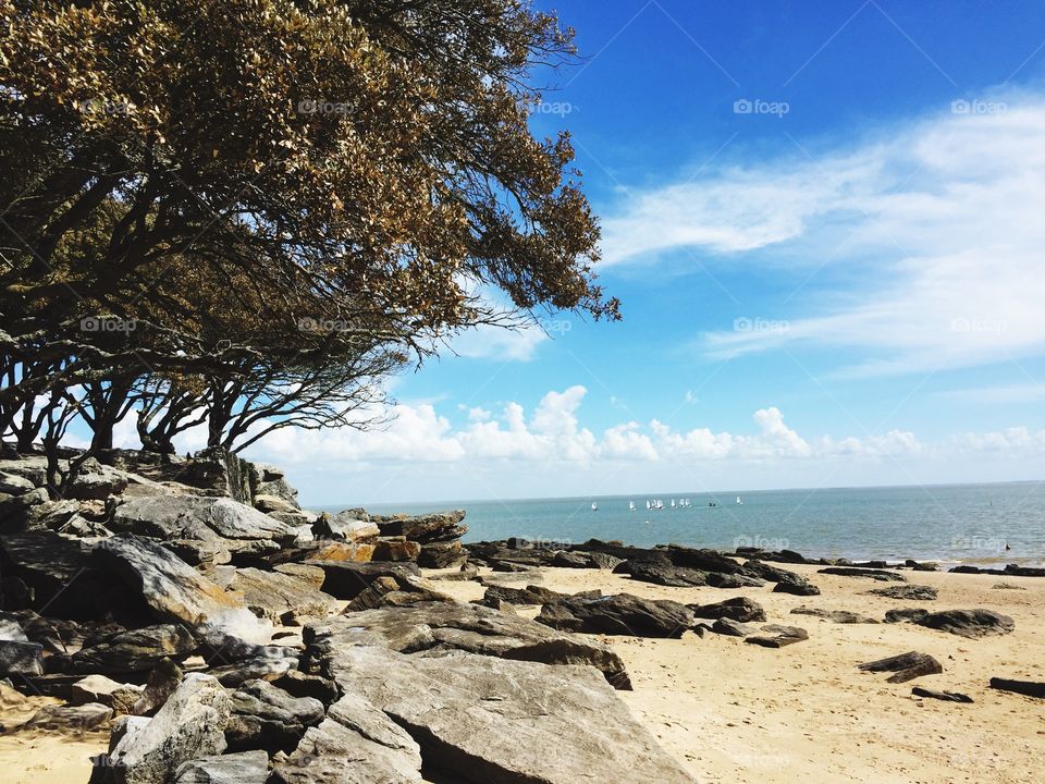 Water, Nature, No Person, Seashore, Sea