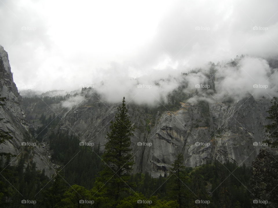 at the bottom of Yosemite valley