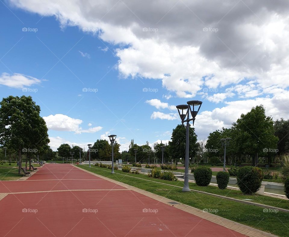 white clouds, blue sky and beautiful trees, landscape, park