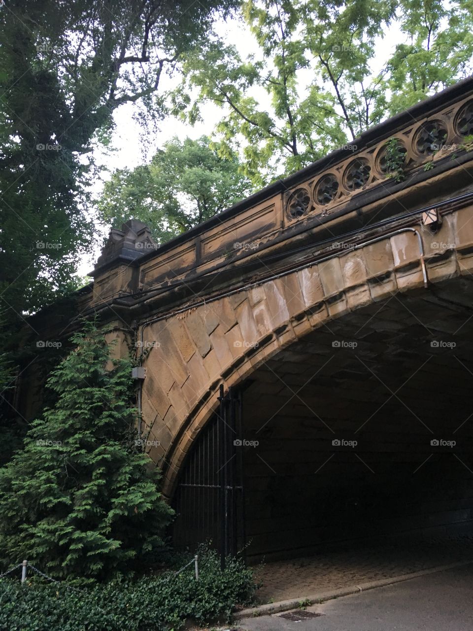 Artistic view of a bridge in Central Park NYC. Summer bliss and calm found while exploring nature in the heart of the city 