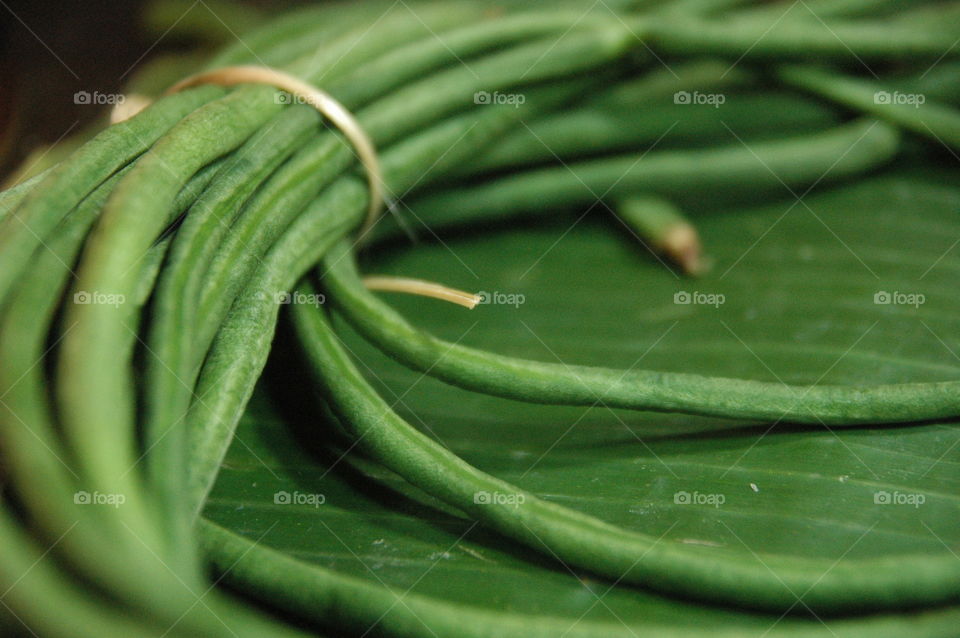 green close up vegetable