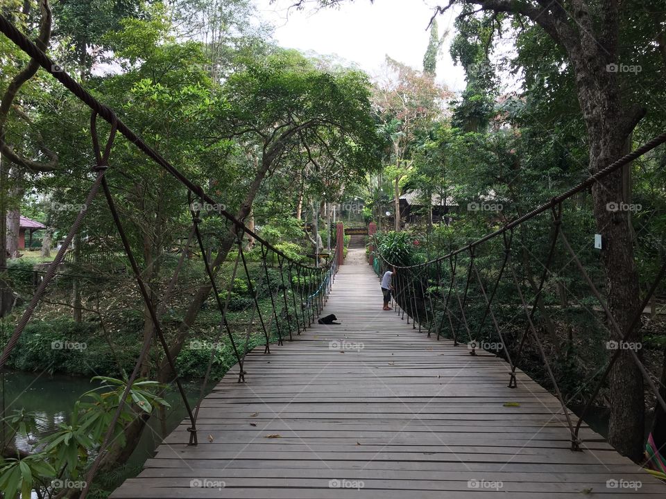 The wood bridge 