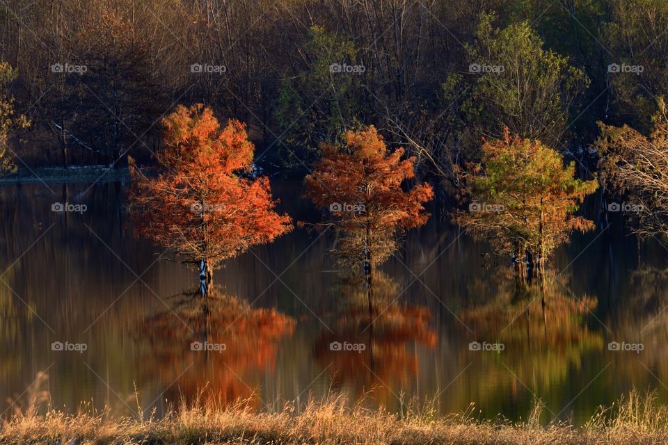 Bright colors on a full lake