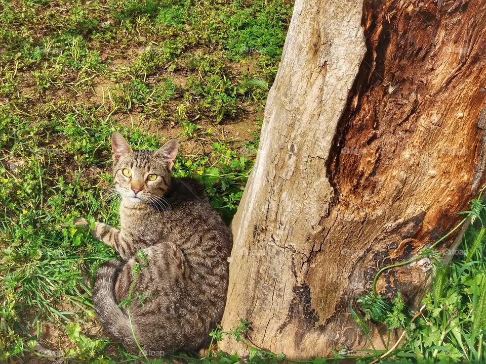 My friend for today!