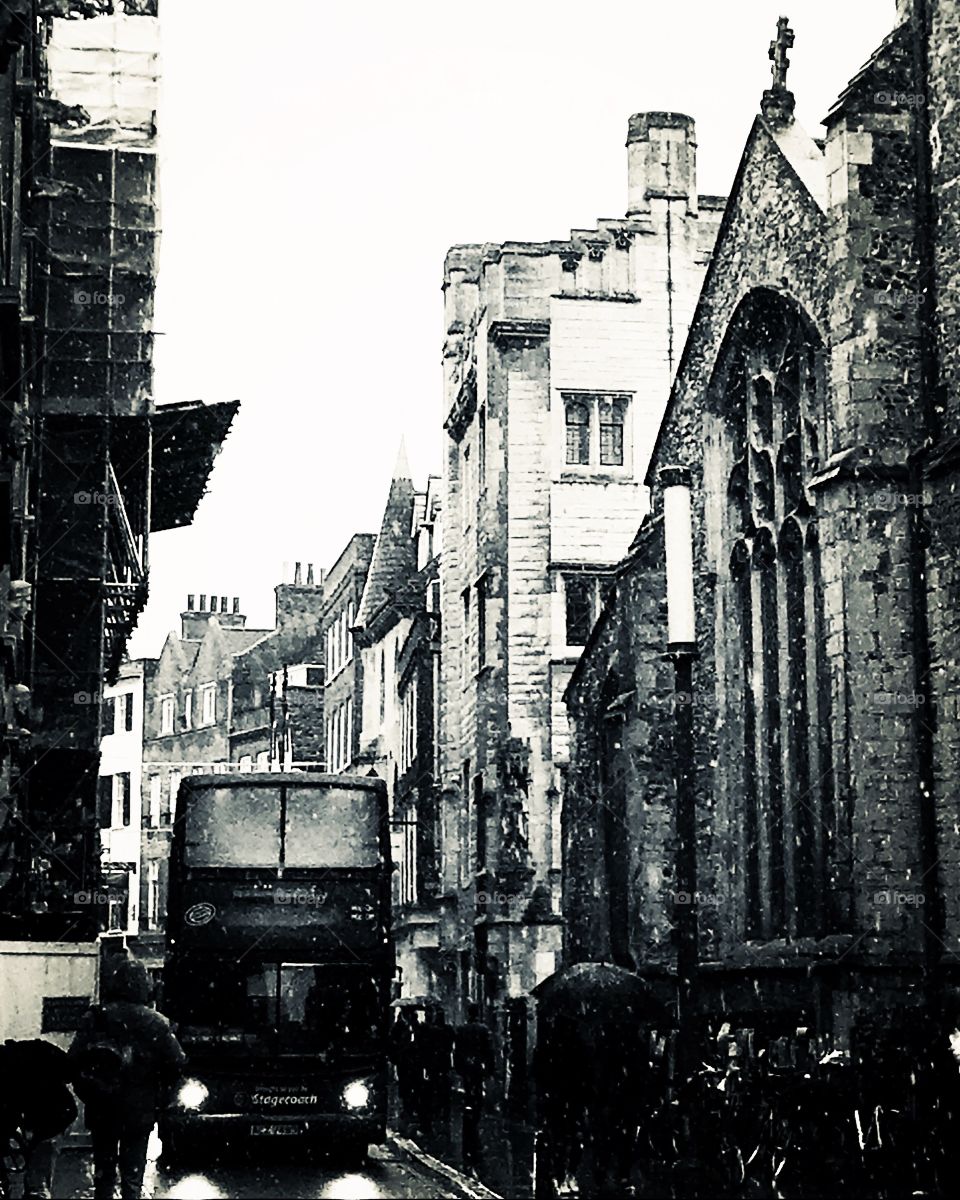 Cambridge History ⭐️