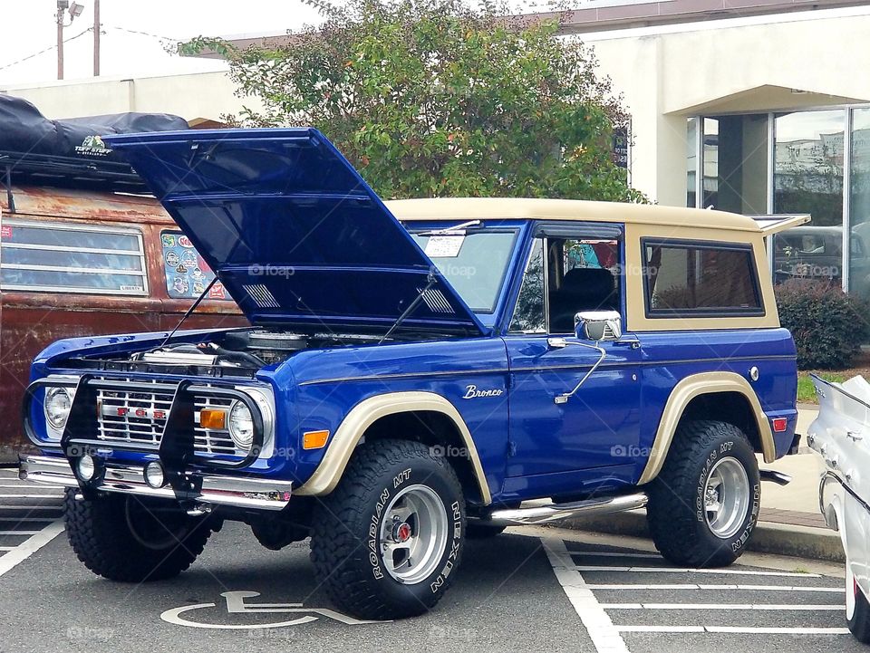 classic ford bronco restored to its original beauty!