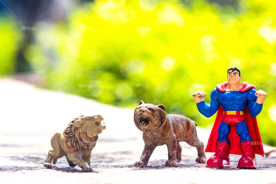 Superman vs Lion