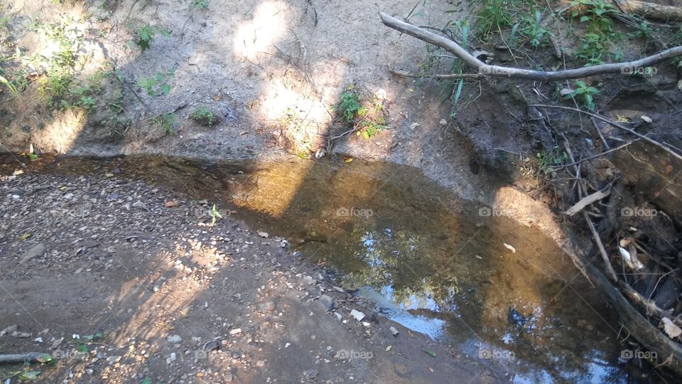 small muddy stream