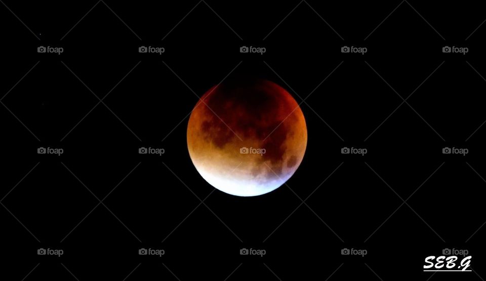 The Blood moon