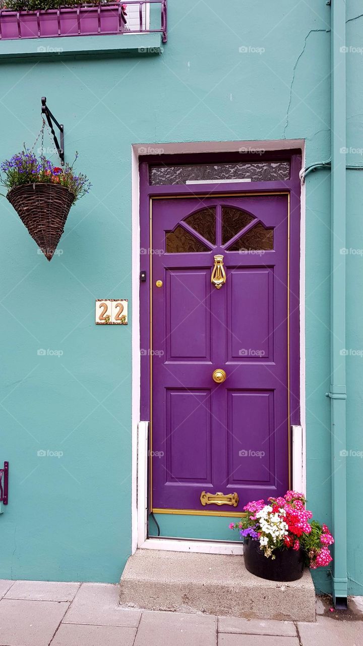 The purple door