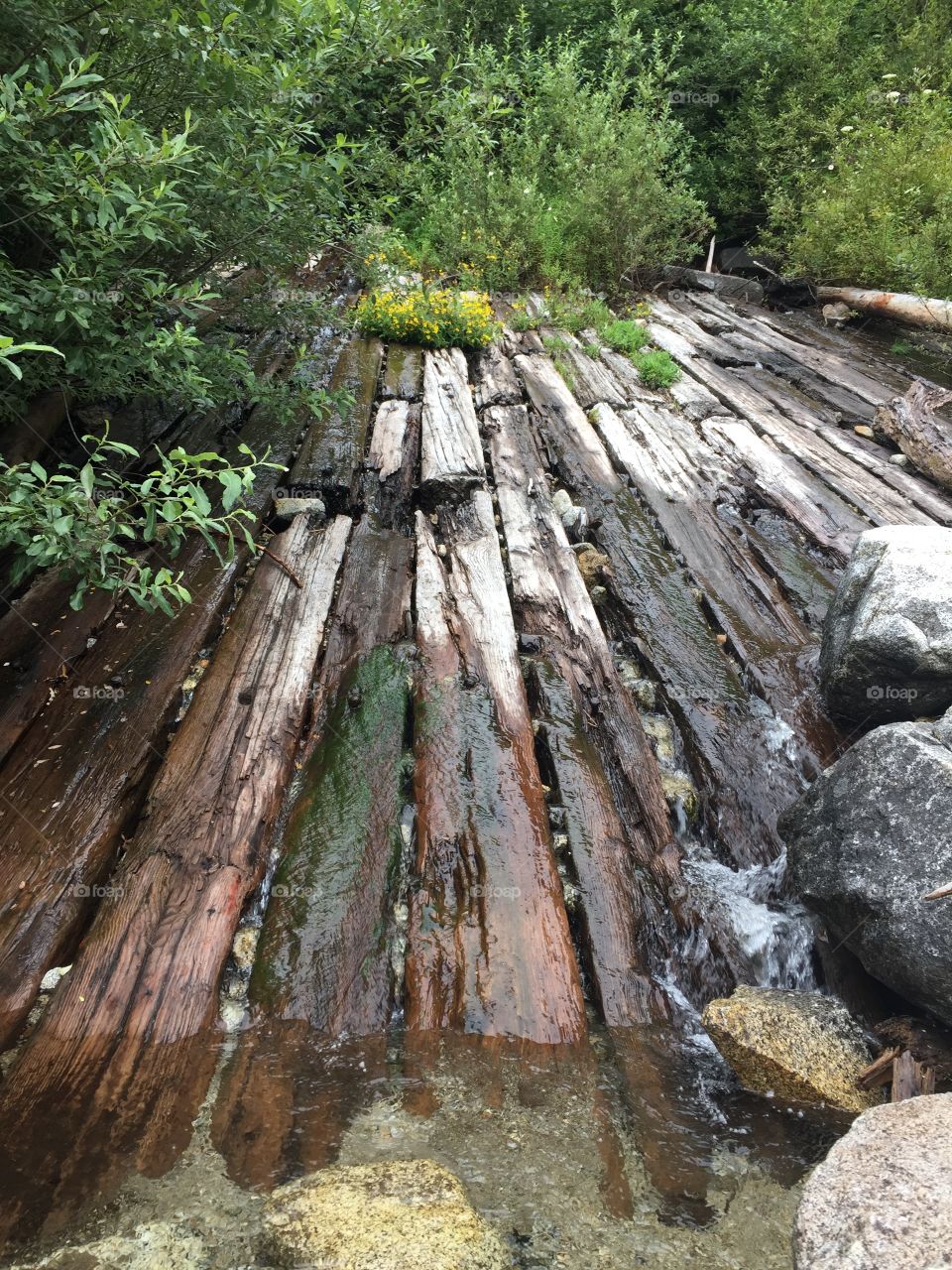 Alpine Lakes Wilderness 