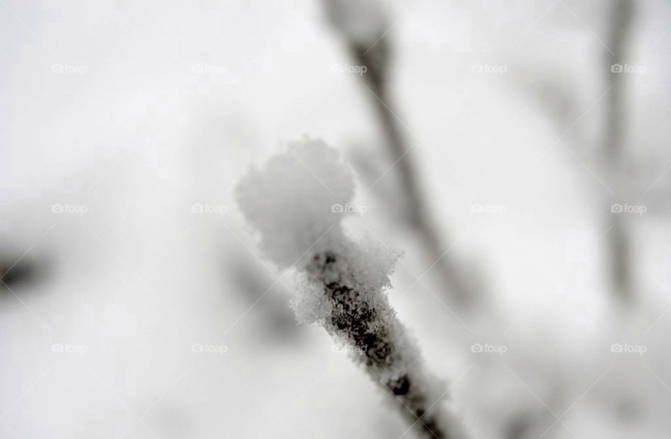 snow winter vinter snø by merethe