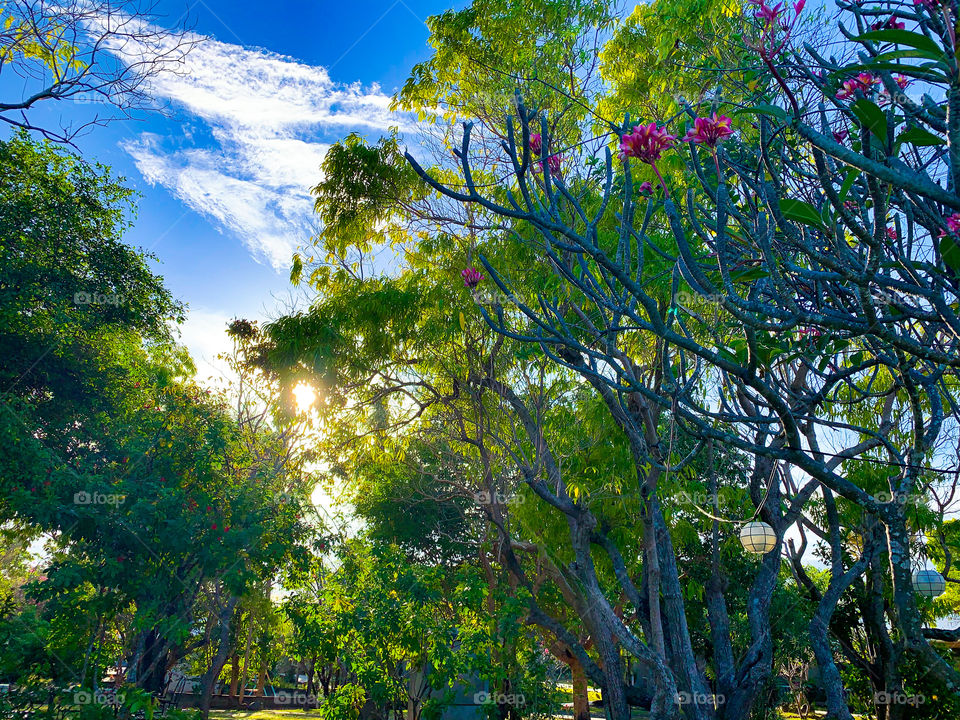 Beautiful life,beautiful day