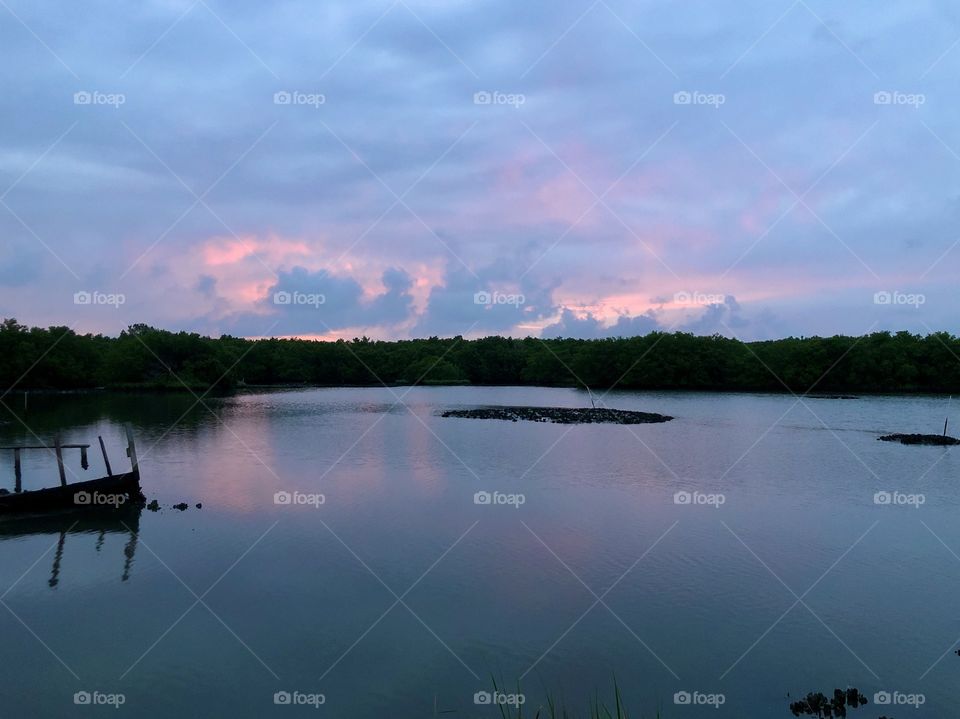 Daybreak over bayou in wetlands