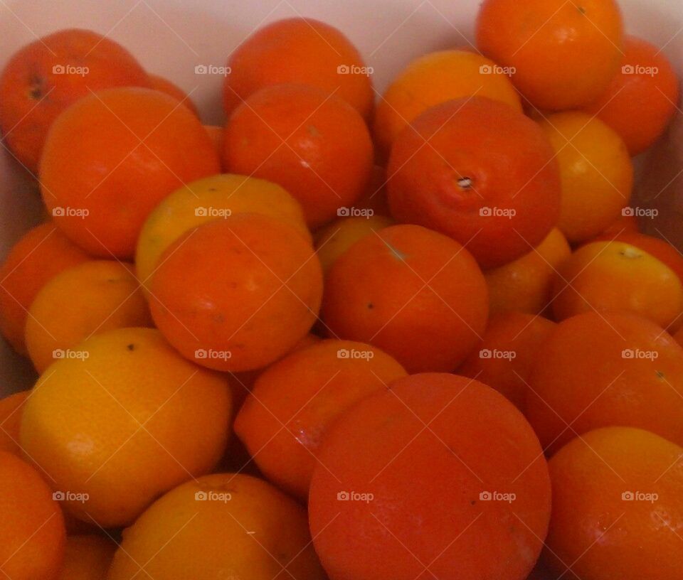 homegrown oranges