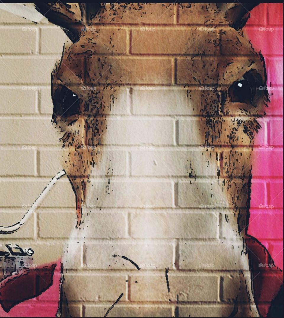 Donkey, wall art