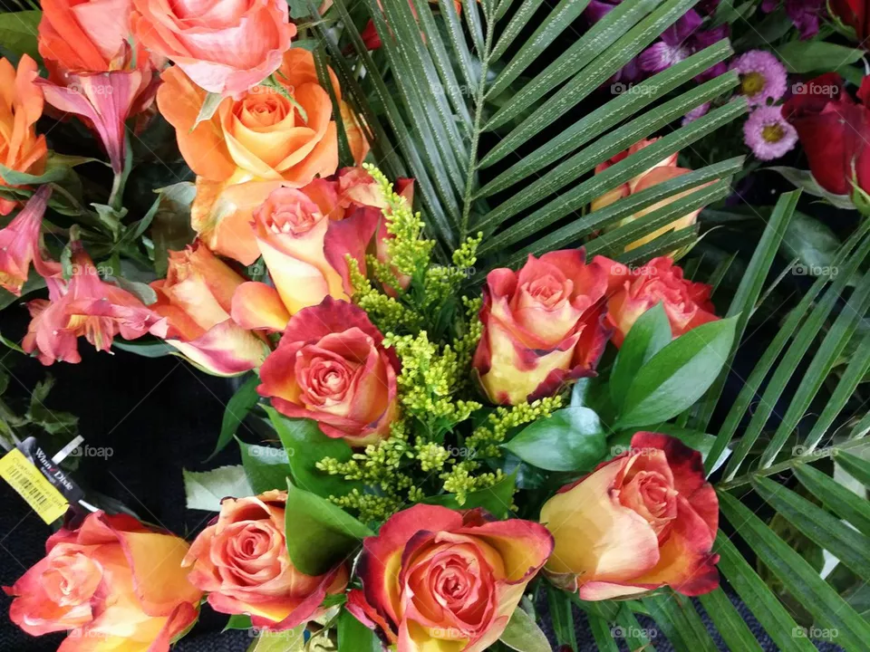 Roses