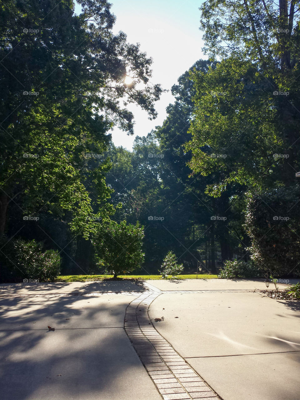 A shot of a driveway on a sunny summer day. 