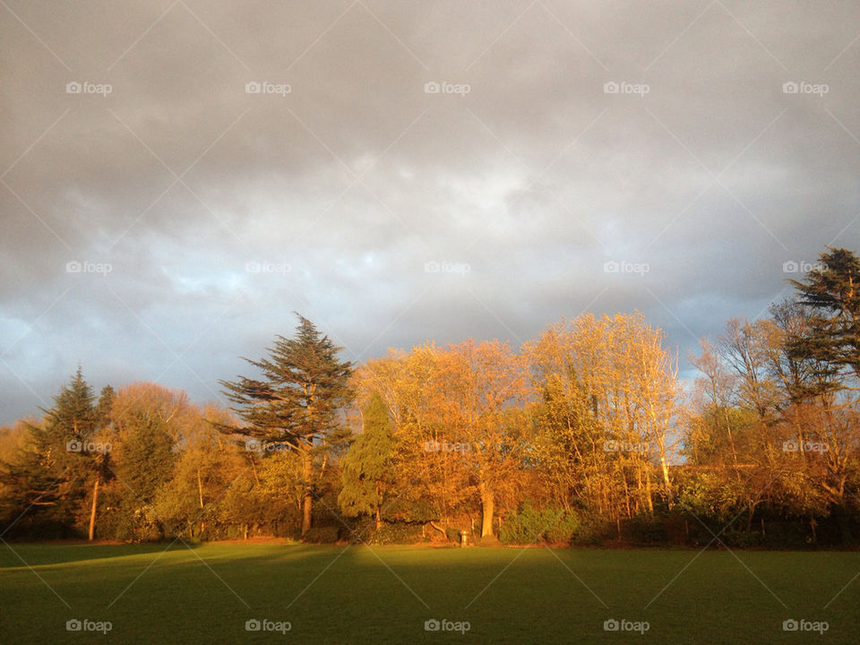 united kingdom england park evening by blackasp