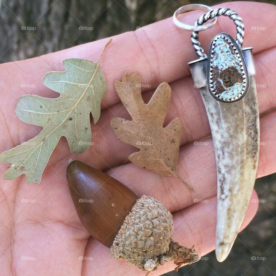 Fall leaves and deer antler
