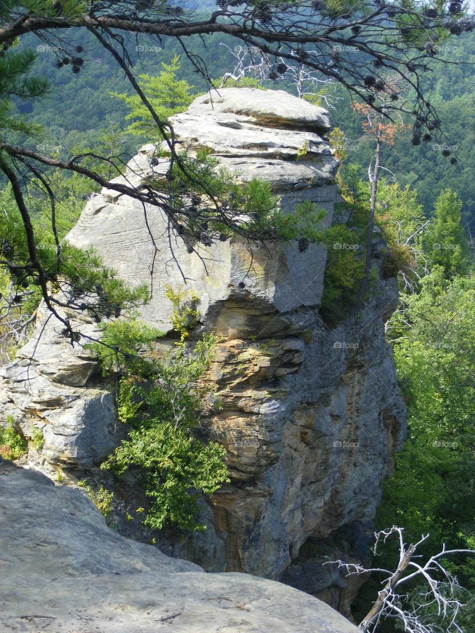 Natural Bridge Kentucky 